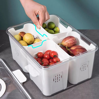 صحن تخزين وتنظيم الطعام نظافة، ترتيب، وانتعاش دائم